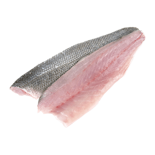 Zeebaarsfilet kopen