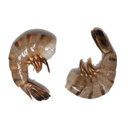 Gambas black tiger zonder kop kopen