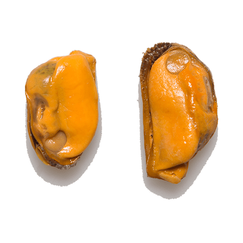 Gekookte mosselen kopen