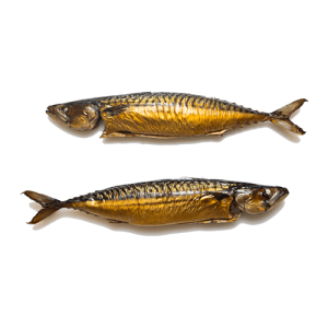 Gerookte makreel kopen