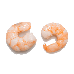 Jumbo garnalen kopen