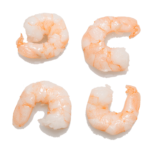 Noorse garnalen kopen