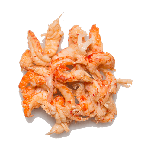 Rivierkreeftjes kopen