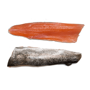 Zalmforel filet kopen