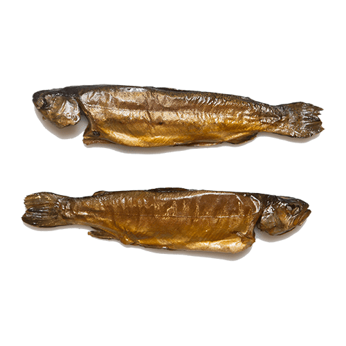 Gerookte forel kopen