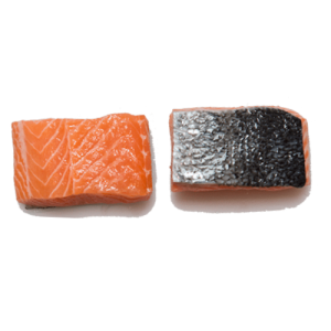 Zalmfilet kopen 2 porties