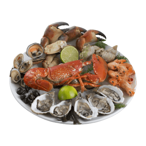Fruits de mer plateau kopen