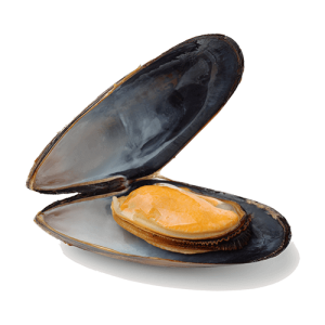 Mosselen imperial (M)